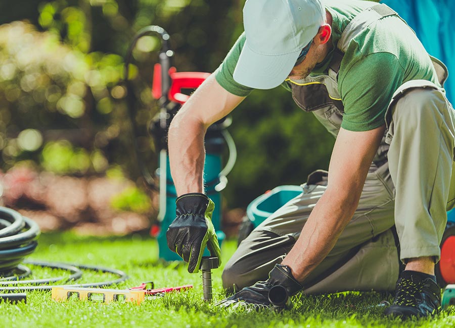Sprinkler system running on a Denver-area lawn